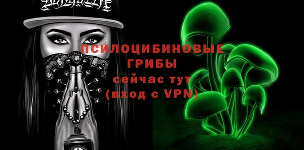 ПСИЛОЦИБИНОВЫЕ ГРИБЫ Анива