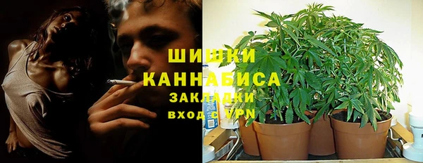 ПСИЛОЦИБИНОВЫЕ ГРИБЫ Абинск