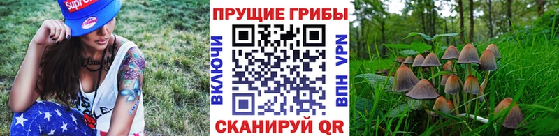 Галлюциногенные грибы ЛСД  мега как войти  Красноуфимск 